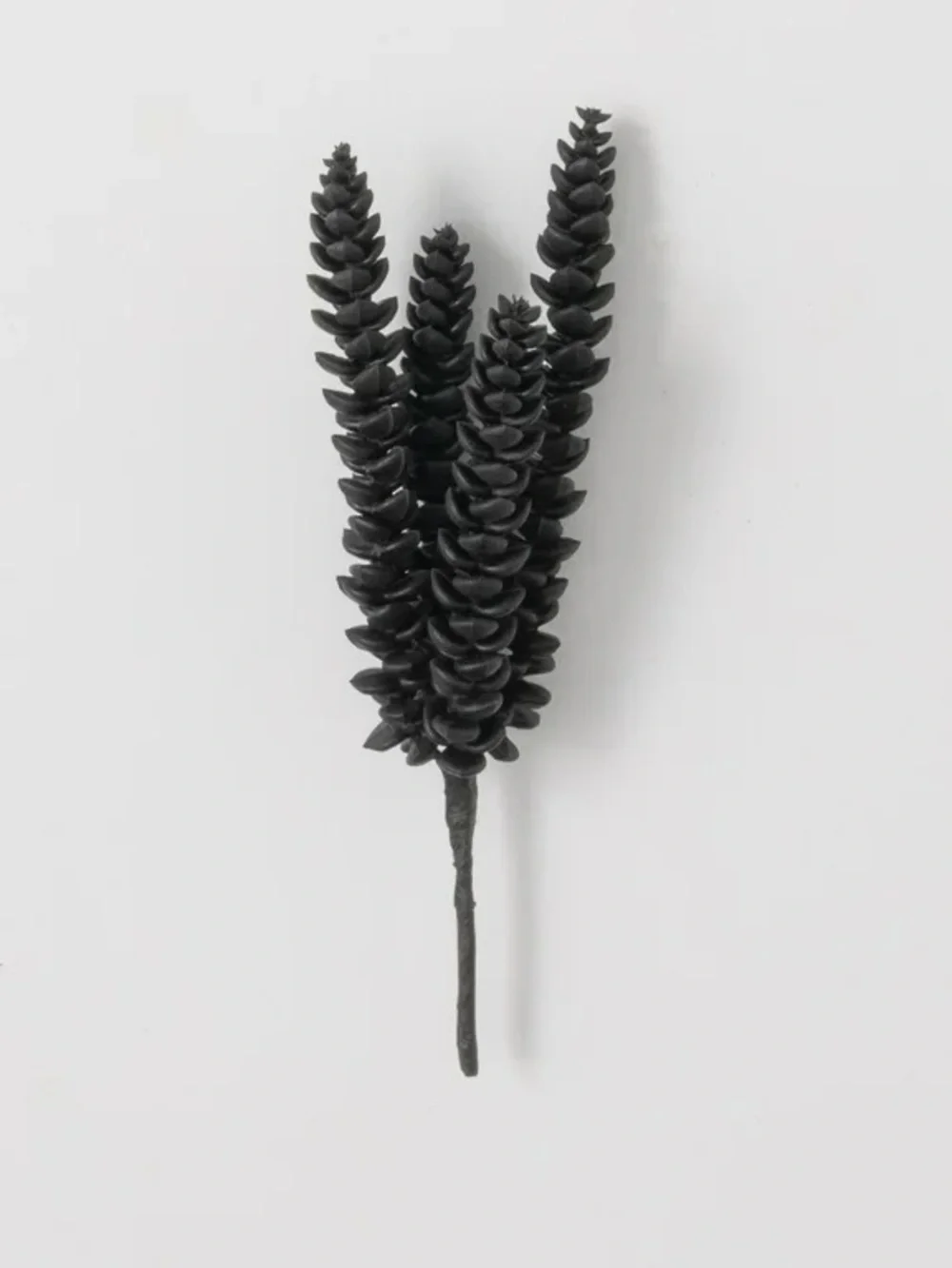 New Set of 5/ Sullivans Black Artificial Succulent Pick 10